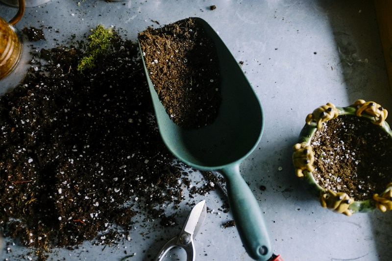 Lawn care and outdoor projects